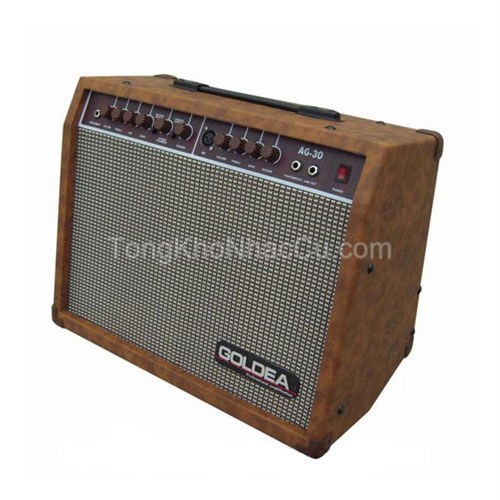 Amply Guitar Godea AG-30